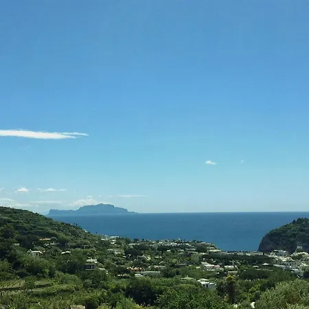 Hotel Maremonti Forio di Ischia